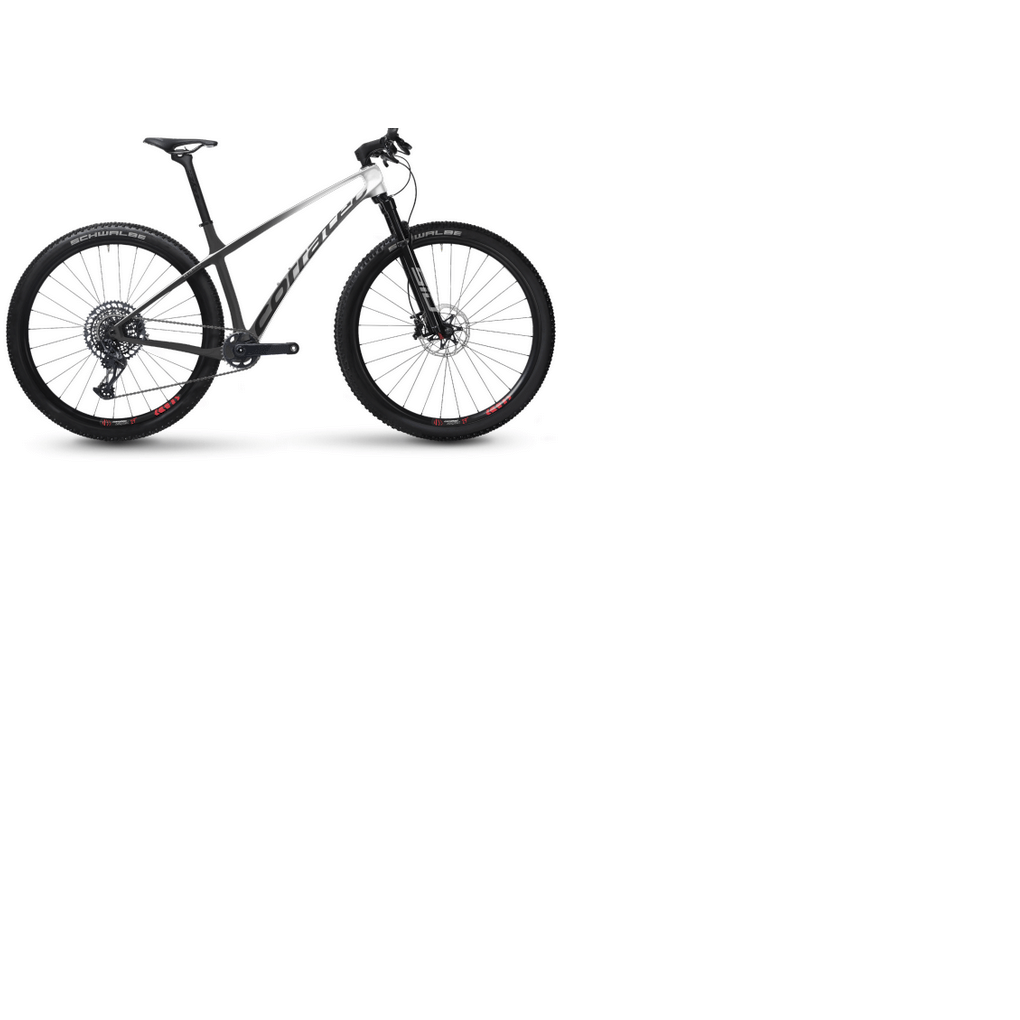 Bicicleta Corratec Revo BOW SL Pro Gris-Blanco