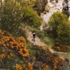 Cubierta Gravel Endurance. Terreno T60 Mixed Gravel 700x45 TLR Hookless Negro